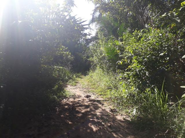 Fazenda entre Jangada e Rosário Oeste com 784 Hectares - Foto 16