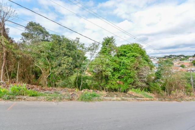 Terreno à venda em Gralha azul, Fazenda rio grande cod:151562 - Foto 2