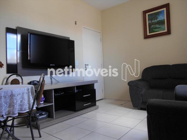 Apartamento à venda com 2 dormitórios em Nova baden, Betim cod:734163 - Foto 16