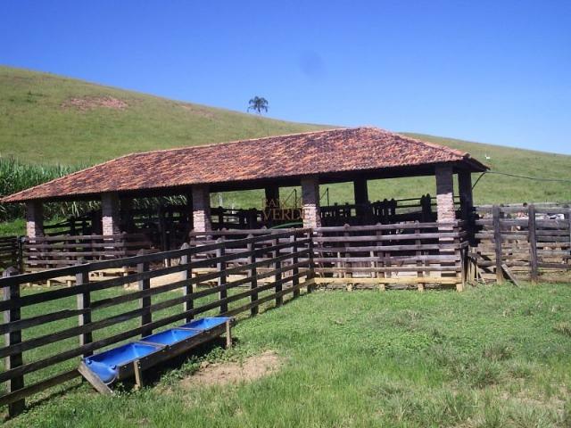 Oportunidade única!!! Fazenda documentada - Cód 1505 - Foto 8