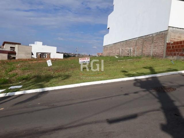 Terreno à venda em Morro santana, Porto alegre cod:MF22186 - Foto 5