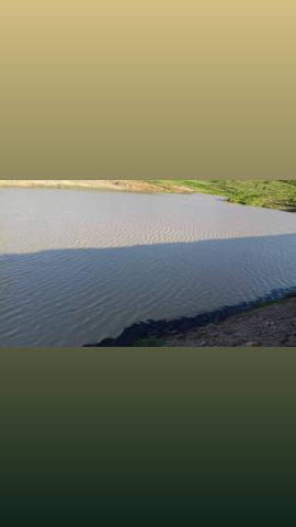 Fazenda com 150 hectares em cachoeira do sapo na br 304 zap. * - Foto 5