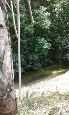 Sítio Santo Antônio do Tauá med.: 180 x 800 só R$ 150 mil - Foto 4