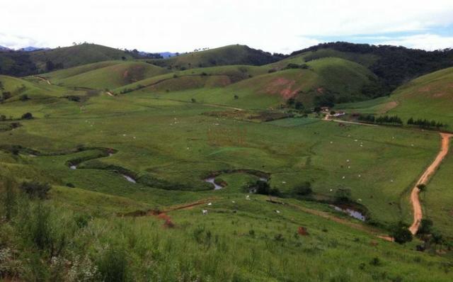 Oportunidade única!!! Fazenda documentada - Cód 1505 - Foto 2