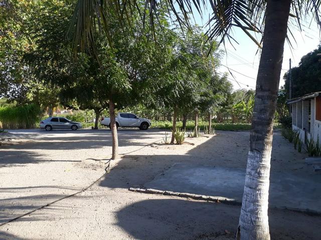 Granja estruturada em lagoa salgada 100% irrigada - Foto 15