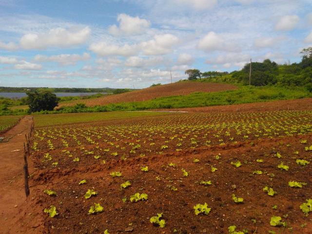 Granja em São Paulo do Potengi com estrutura - Foto 2