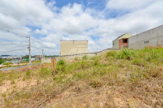 Terreno à venda em Atuba, Curitiba cod:153751 - Foto 15