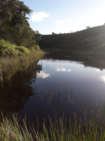 Fazendinha em valença - Foto 2