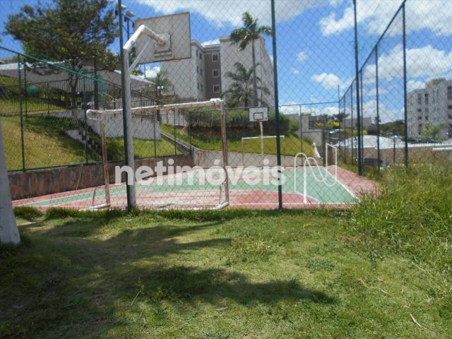 Apartamento à venda com 2 dormitórios em Nova baden, Betim cod:734163 - Foto 2