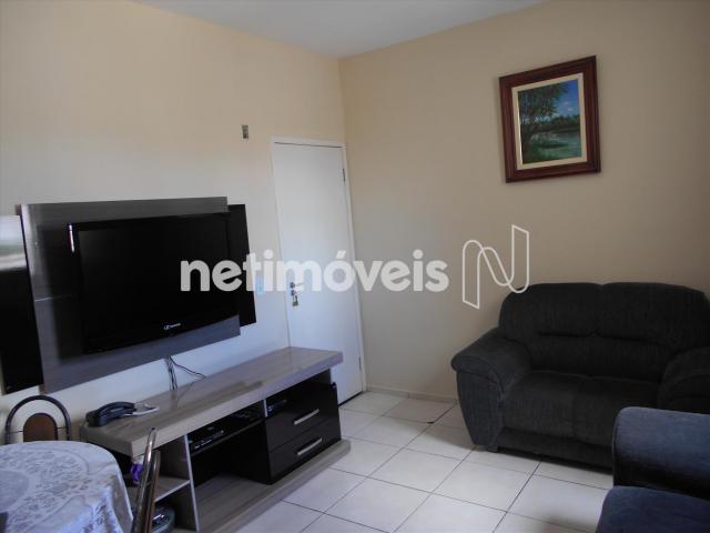 Apartamento à venda com 2 dormitórios em Nova baden, Betim cod:734163 - Foto 15