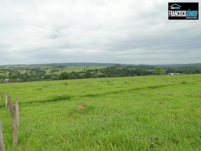 Fazenda em Piracanjuba, perto de Goiânia, 13 Alqueires de pura beleza, frente para rodovia - Foto 20