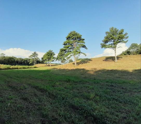 Chácara em Fazenda Souza - Foto 3