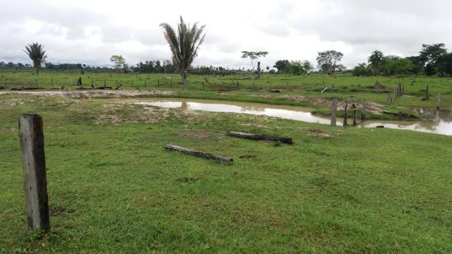 Fazenda - Porto Belo Linha 120 - 900 hectares - Foto 10