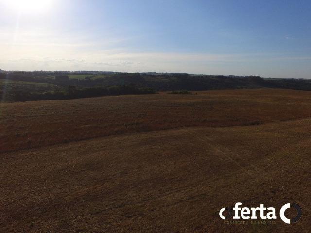 Fazenda com 54 alqueires em Mariental, na Lapa - Foto 18