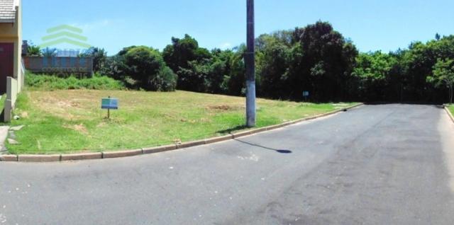 Terreno, Protásio Alves, Porto Alegre-RS - Foto 5