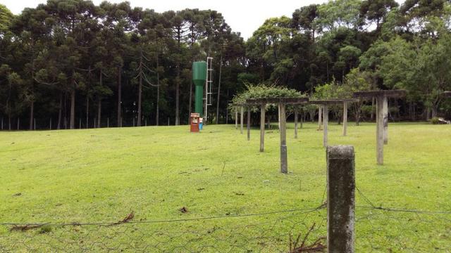 Linda chácara pronta para morar totamente plana - Visitas * - Foto 8