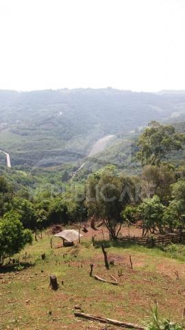 Sítio à venda em Centro, Flores da cunha cod:RP141 - Foto 20