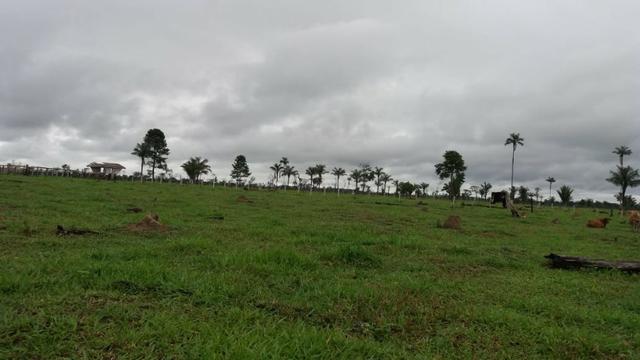 Fazenda - Porto Belo Linha 120 - 900 hectares - Foto 12