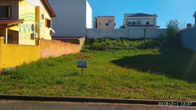 Terreno, Protásio Alves, Porto Alegre-RS - Foto 2