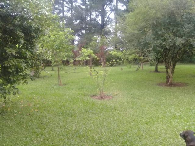 Chácara 5.500 m² - costa do ipiranga - gravataí - rs - Foto 13