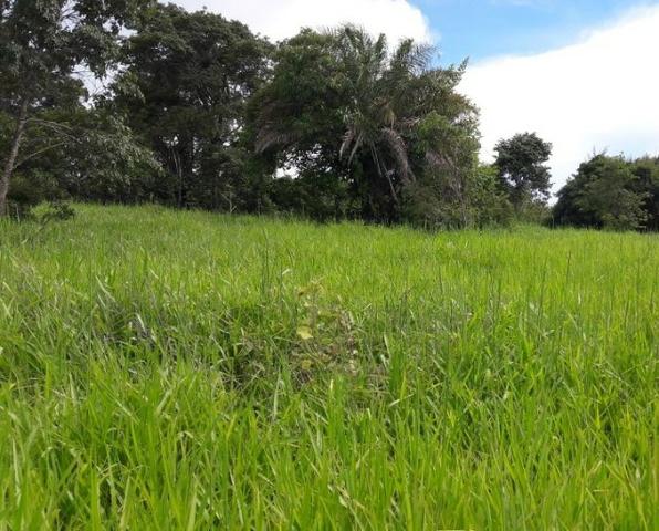 Vendo fazenda bem localizada com 726000m² - Foto 10