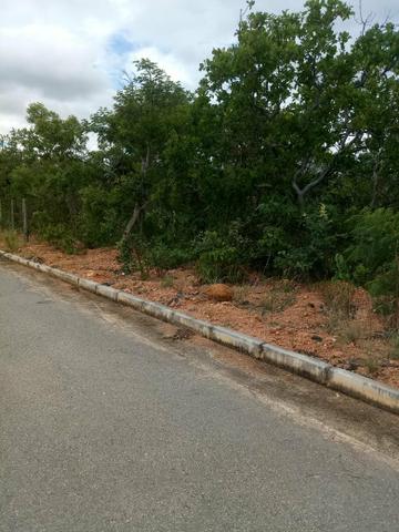 Vendo lote 1.000 metros plano Baldim bairro Santa Luzia - Foto 12