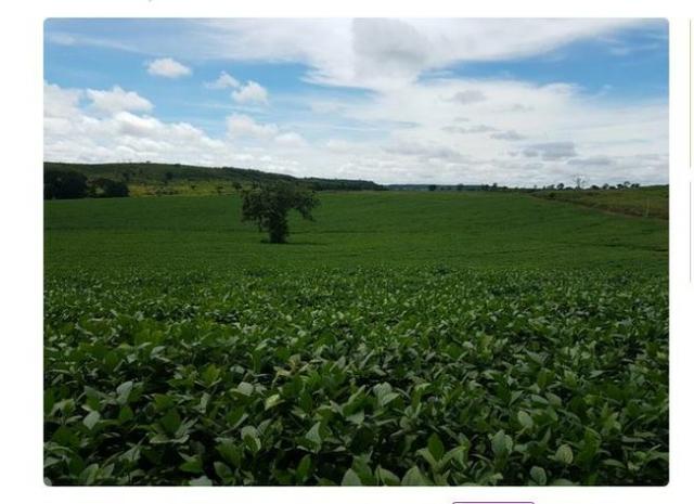 Vendo Fazenda Centro do Maranhão com excelente localização,terra teor argila 40/55% - Foto 8