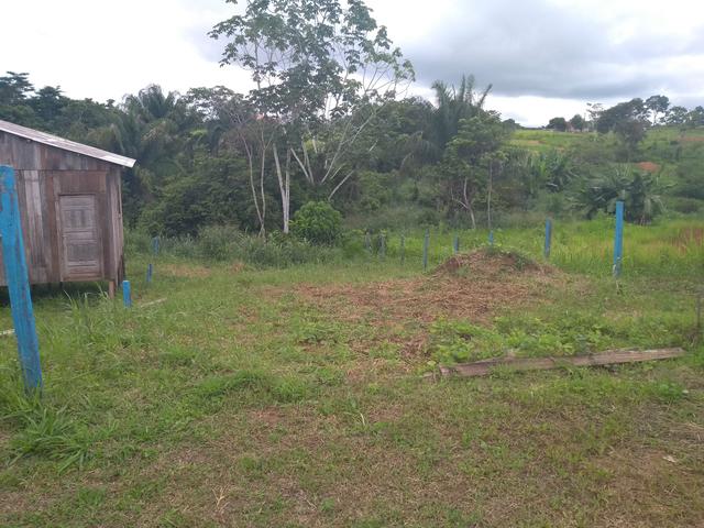 Vendo esse terreno por 6 mil no final da Apolónia sales(ramal são João) - Foto 2