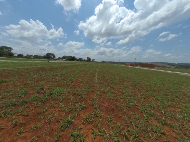 Terreno para alugar com 0 dormitórios em Setor solange, Trindade cod:28420 - Foto 10