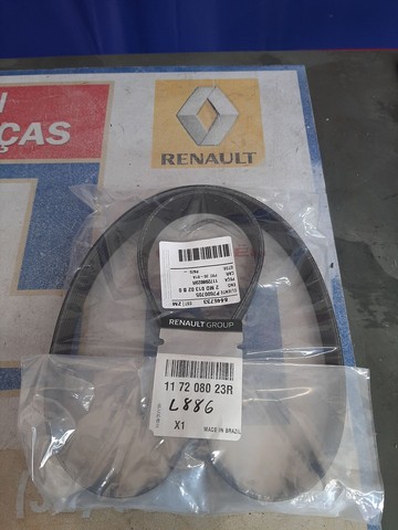 Correia Poly V 7pk1038