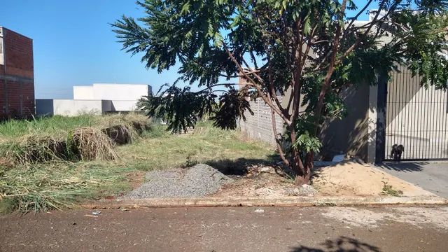 Floresta-Pr Jardim Nova Floresta Terreno 160 m2