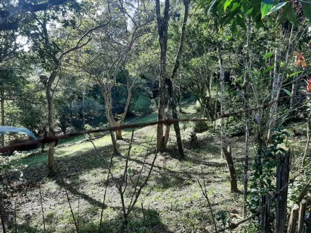 Chácara Canaã II - Jambeiro - SP - Foto 3
