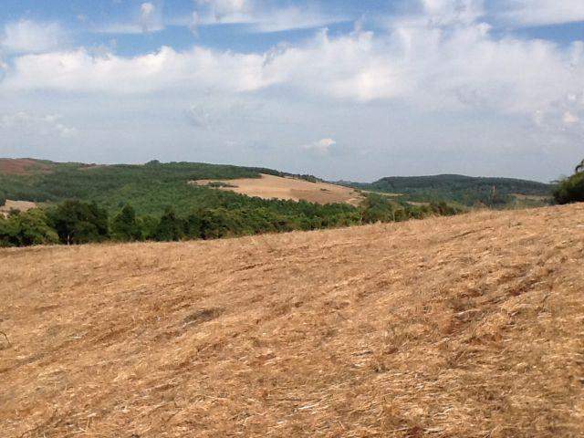 Fazenda de 68 Alqueires . 44 alqueires Mecanizados .Mil Sacas de Soja por Alqueire - Foto 7