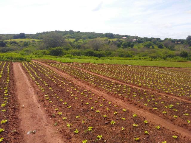 Granja em São Paulo do Potengi com estrutura - Foto 8