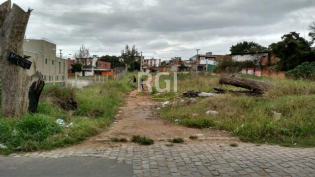 Terreno à venda em Protásio alves, Porto alegre cod:MF21974 - Foto 3