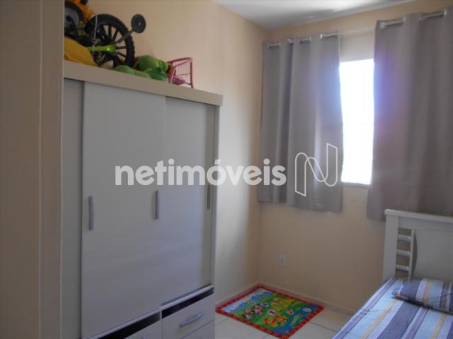 Apartamento à venda com 2 dormitórios em Nova baden, Betim cod:734163 - Foto 6