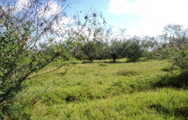 Terreno à venda em Parque eldorado, Eldorado do sul cod:LU261207 - Foto 2