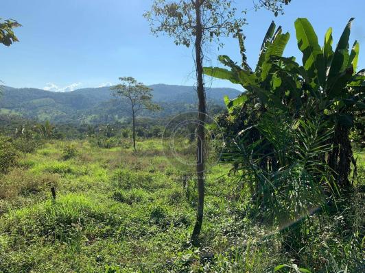 Sítio 26 hectares região da serra são vicente - Foto 15