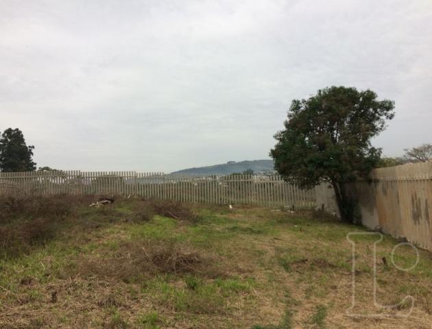 Terreno à venda em Rubem berta, Porto alegre cod:LU271167 - Foto 4
