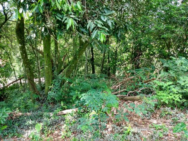 Belíssimo sítio em Guapimirim medindo 5.000m2 oportunidade!!!! - Foto 16