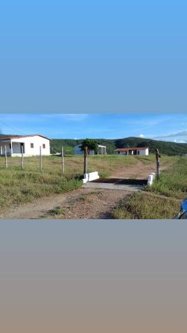 Fazenda com 150 hectares em cachoeira do sapo na br 304 zap. * - Foto 6