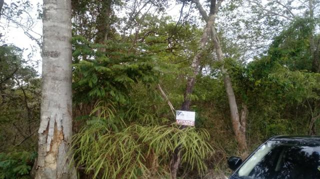 Lote no asfalto no setor Recanto de Caldas 420 metros - Foto 6
