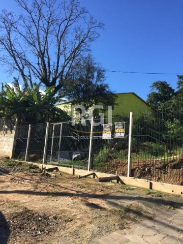 Terreno à venda em Vila jardim, Porto alegre cod:OT5707 - Foto 6