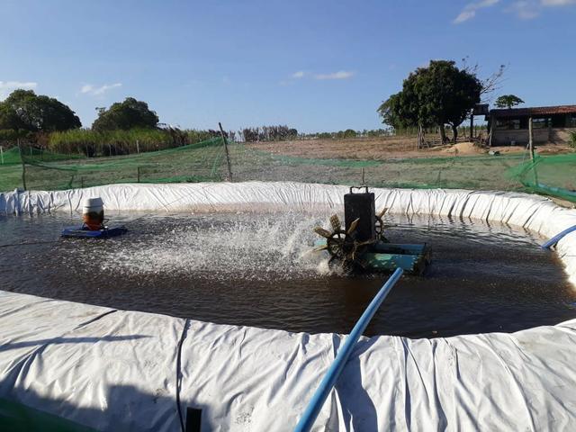 Granja estruturada em lagoa salgada 100% irrigada - Foto 2
