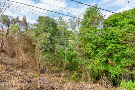 Terreno à venda em Gralha azul, Fazenda rio grande cod:151562 - Foto 10