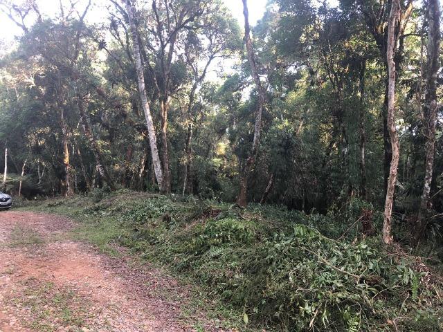 Terreno com 20.000 m², plana/mata/nascente/ área in-natura só R$119.900,00
