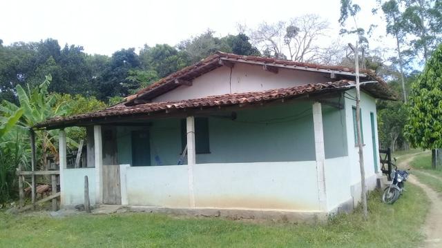 Fazenda pra ser feliz - Foto 2
