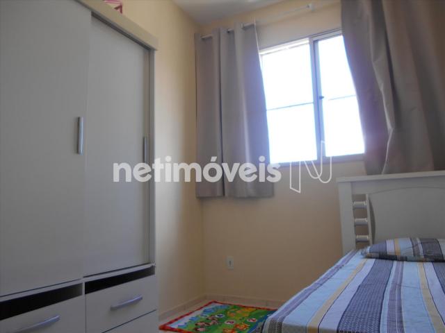 Apartamento à venda com 2 dormitórios em Nova baden, Betim cod:734163 - Foto 8