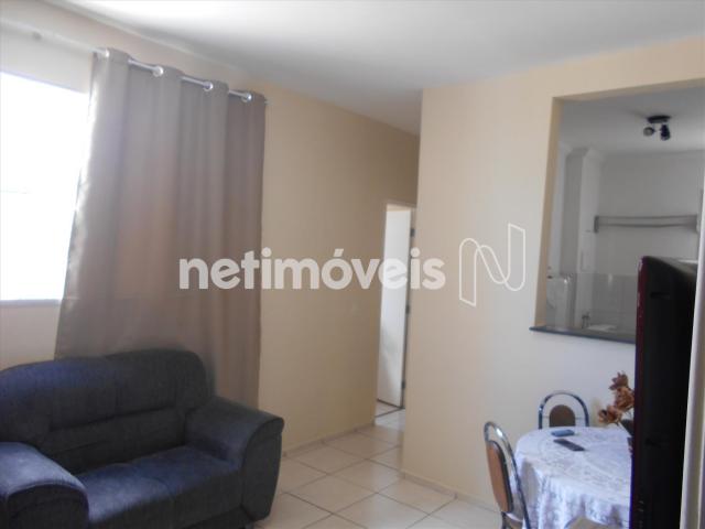 Apartamento à venda com 2 dormitórios em Nova baden, Betim cod:734163 - Foto 19