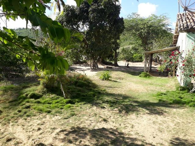 Ótima propriedade de 1.5 hectare, a 7 km da BR de Pombos-PE - Foto 9